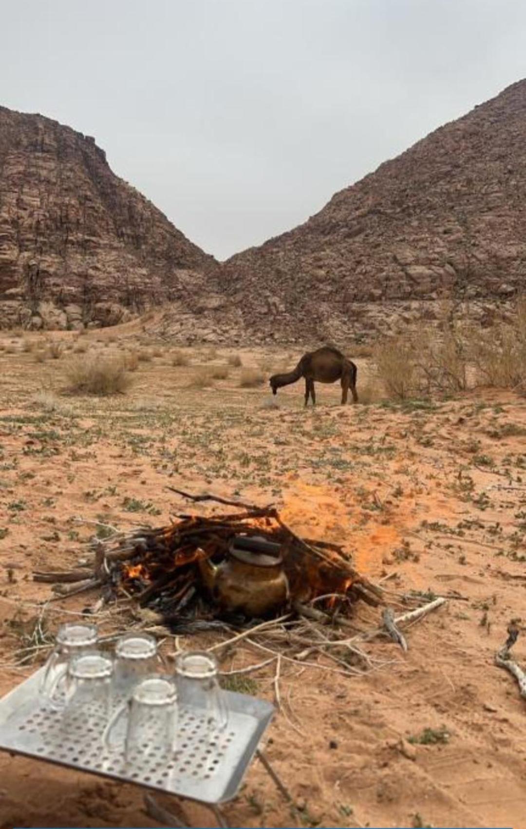 Wadi Stella Camp *